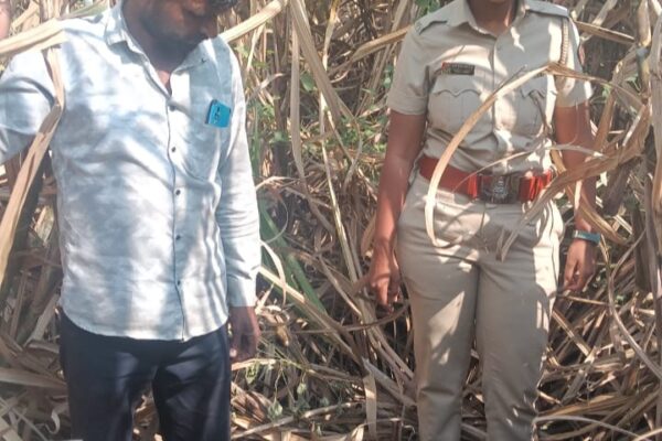 daund leopard attack