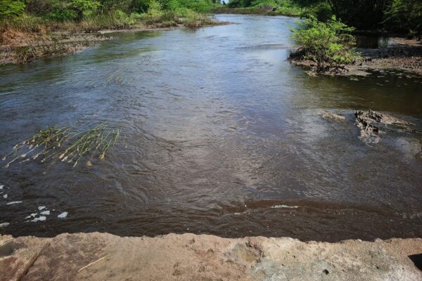 Nimsakhar stream indapur taluka of Pune district