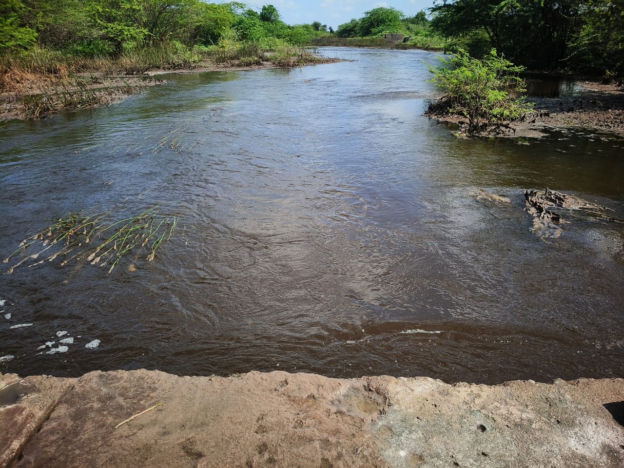 Nimsakhar stream indapur taluka of Pune district