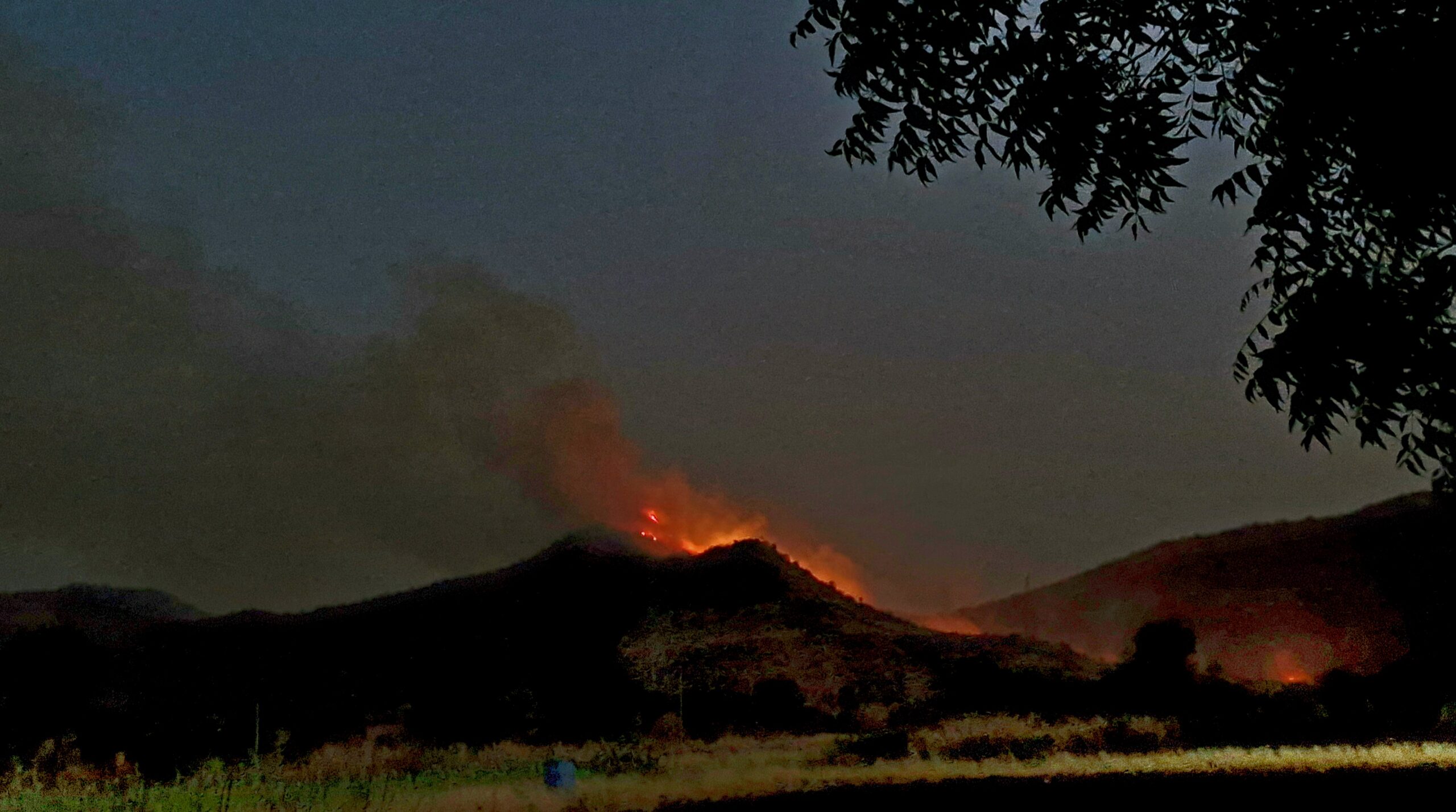 Massive Forest Fire Destroys Over 1,500 Acres in Purandar; Farmers and Wildlife Hit Hard