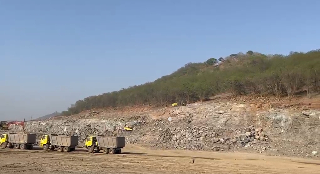 Over 35,000 Trees Felled for Pune Ring Road with Minimal Replanting