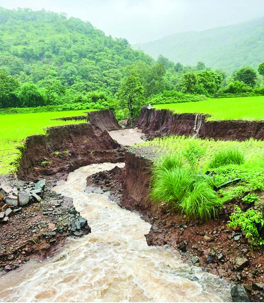 Topsoil Washed Away, Gullies Formed in Fields: Heavy Rain Wreaks Havoc in Ambegaon’s Tribal Belt